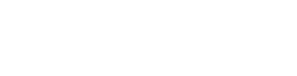 IDMA WHITE